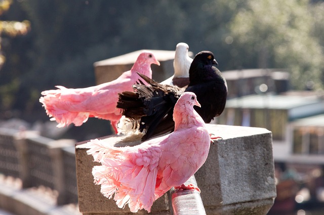 梅西不是不防守，而是将更多的精力都投入到进攻中去了！